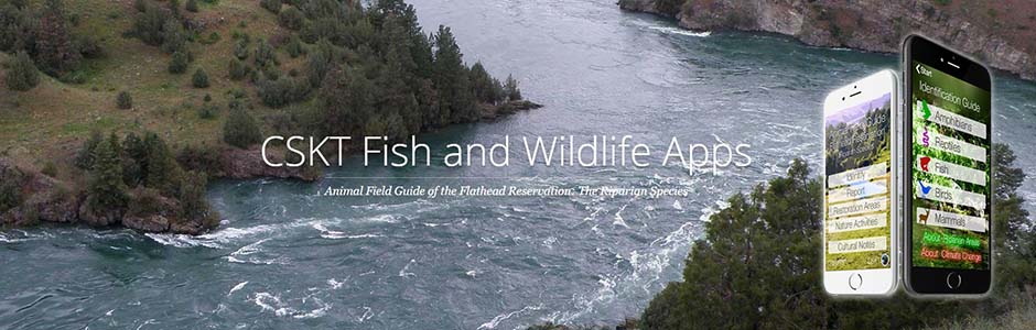 CSKT Fish and Wildlife App
